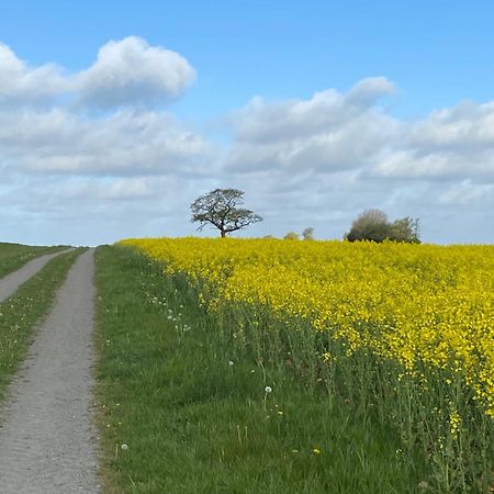 Blomstertantens Hus Trelleborg Zewnętrze zdjęcie