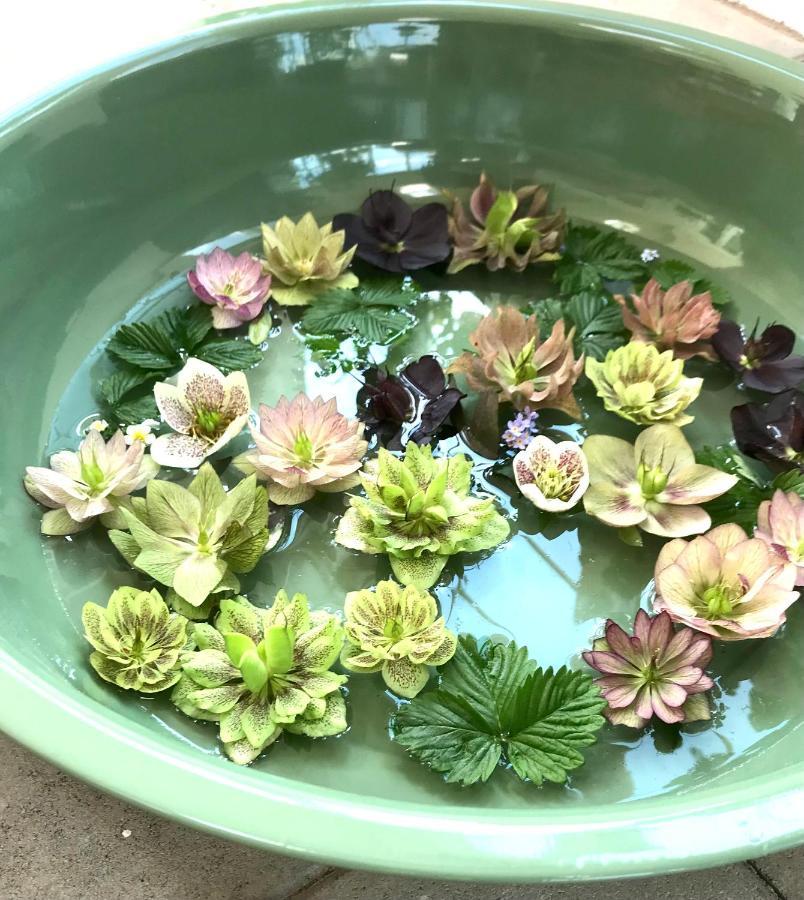 Blomstertantens Hus Trelleborg Zewnętrze zdjęcie
