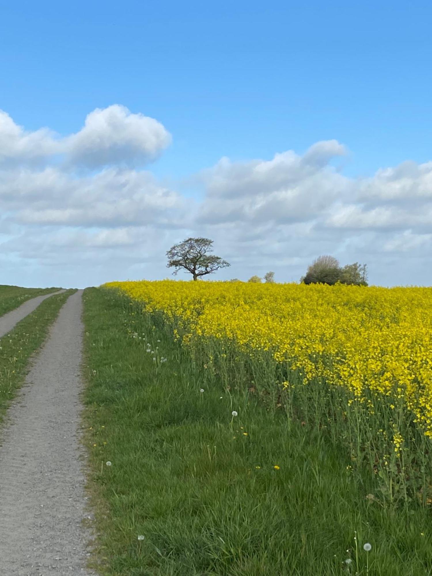 Blomstertantens Hus Trelleborg Zewnętrze zdjęcie