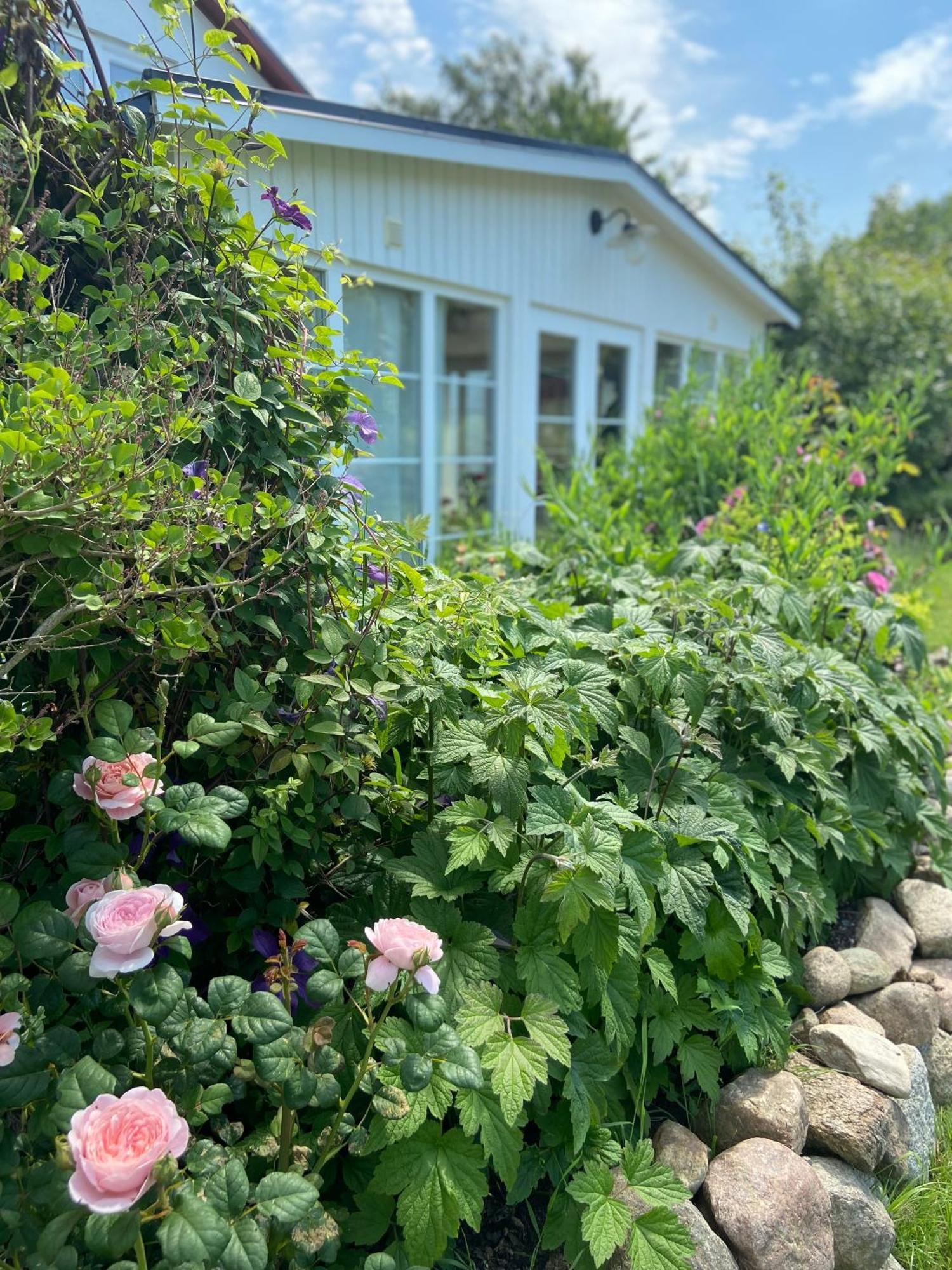 Blomstertantens Hus Trelleborg Zewnętrze zdjęcie