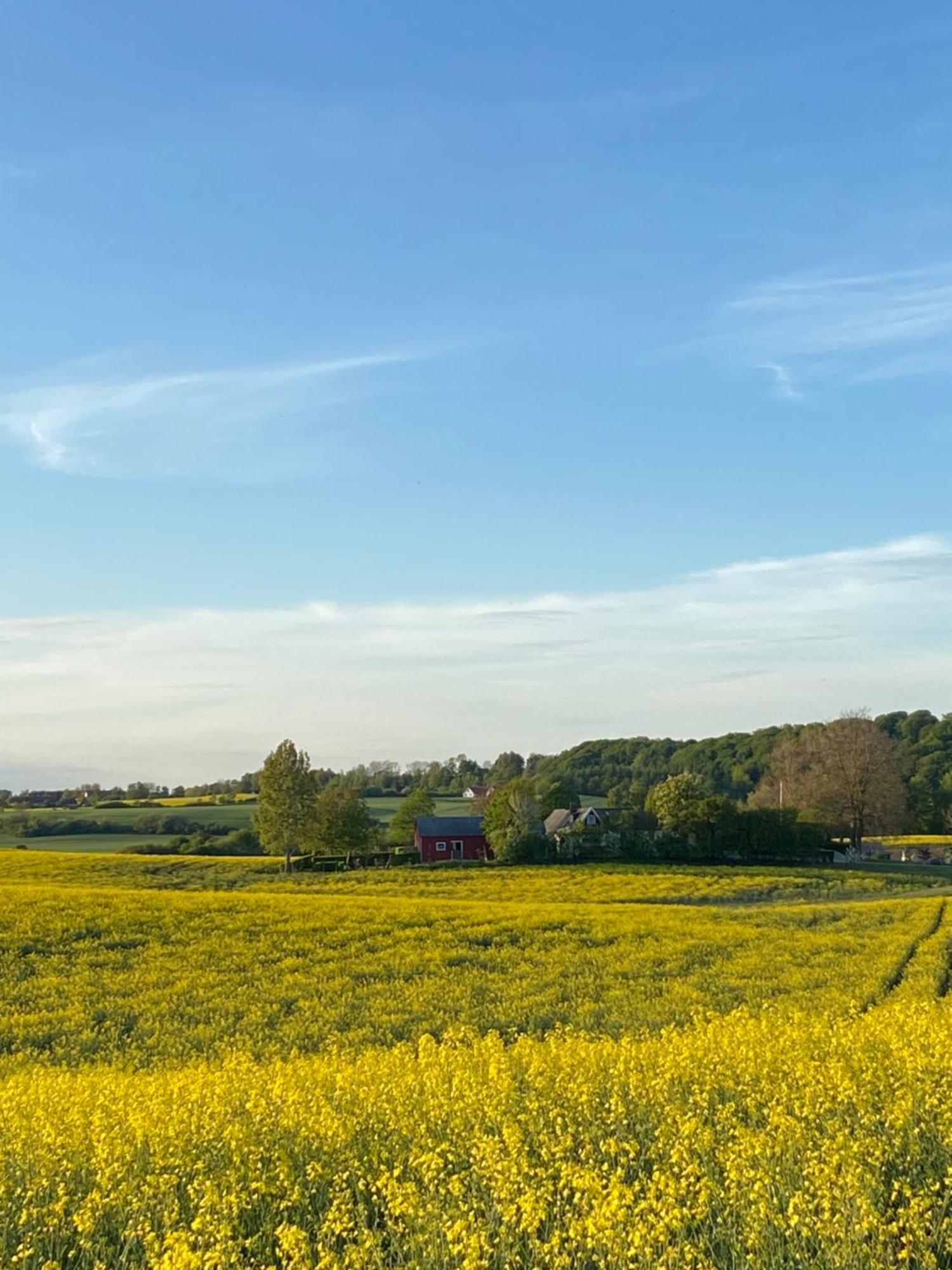 Blomstertantens Hus Trelleborg Zewnętrze zdjęcie