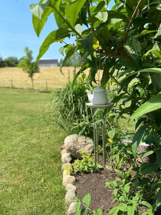 Blomstertantens Hus Trelleborg Zewnętrze zdjęcie