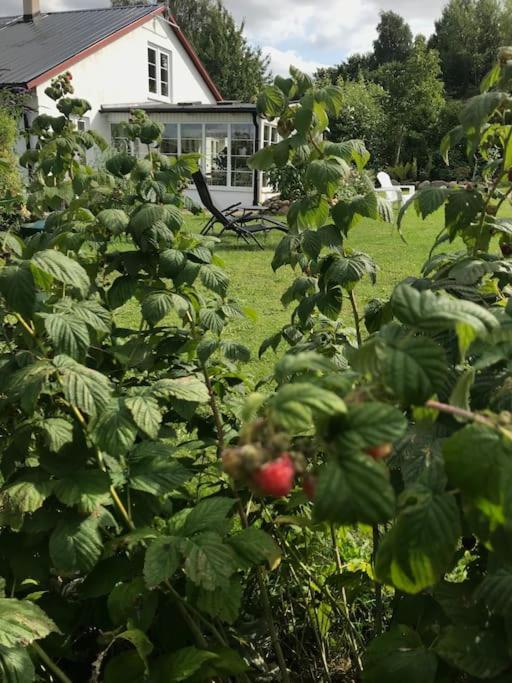 Blomstertantens Hus Trelleborg Zewnętrze zdjęcie